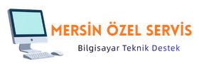 Mersin Özel Servis